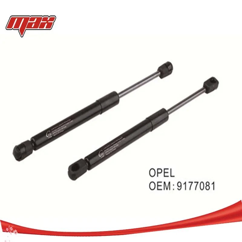 Gas Spring